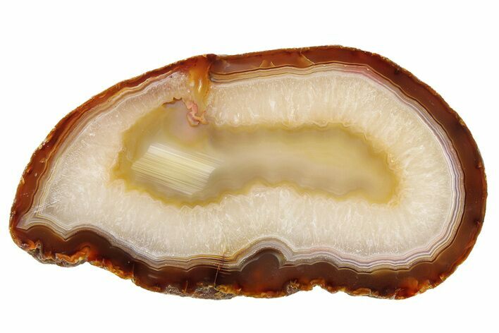 Polished, Banded Agate Slab - Brazil #279578